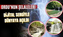 Ordu’nun Şelaleleri Dijital Sergiyle Dünyaya Açıldı