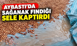 Aybastı’da Sağanak Fındığı Sele Kaptırdı