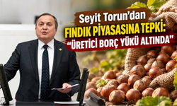Seyit Torun’dan Fındık Piyasasına Tepki: “Üretici Borç Yükü Altında”