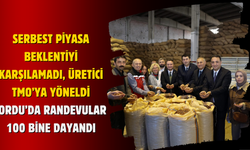 Serbest Piyasa Beklentiyi Karşılamadı, Üretici TMO’ya Yöneldi: Ordu’da Randevular 100 Bine Dayandı