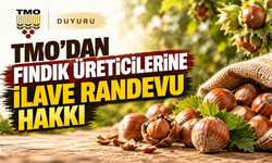 TMO’dan Fındık Üreticilerine İlave Randevu Hakkı