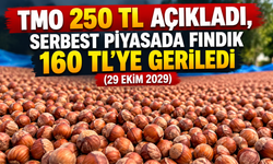 TMO 250 TL Açıkladı, Serbest Piyasada Fındık 160 TL’ye Geriledi (29 Ekim 2029)