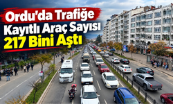 Ordu’da Trafiğe Kayıtlı Araç Sayısı 217 Bini Aştı