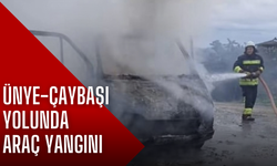 Ünye-Çaybaşı Yolunda Araç Yangını