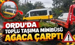 Ordu’da Toplu Taşıma Minibüsü Ağaca Çarptı