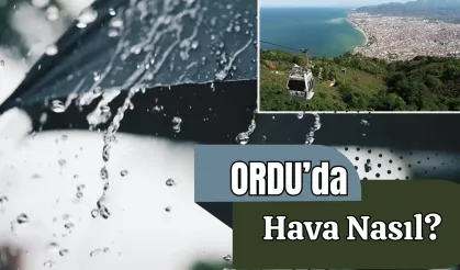 Meteoroloji açıkladı: 20 Kasım 2024 Ordu'da hava durumu raporu