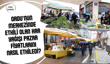 Ordu’nun Merkezinde Etkili Olan Kar Yağışı Pazar Fiyatlarını Nasıl Etkiledi?