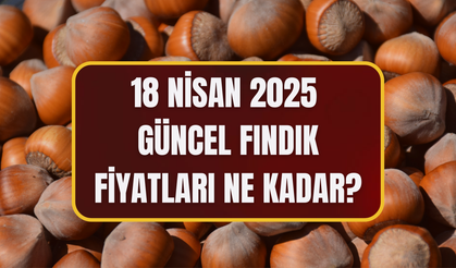 18 Nisan 2025 Güncel Fındık Fiyatları Ne Kadar?