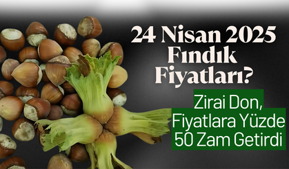 24 Nisan 2025 Fındık Fiyatları?