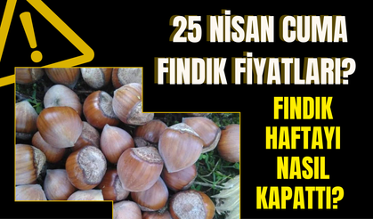 25 Nisan Cuma Fındık Fiyatları? Fındık Haftayı Nasıl Kapattı?