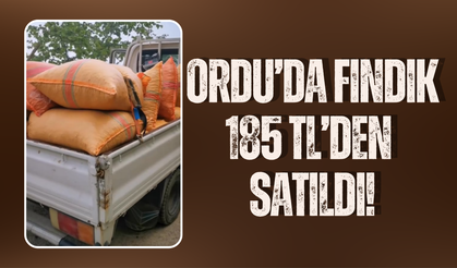 Ordu’da Fındık 185 TL’den Satıldı!