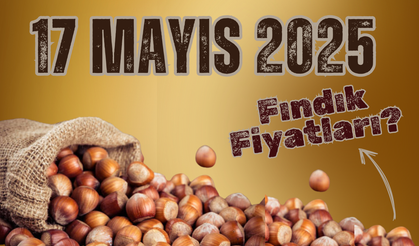 17 Mayıs 2025 Fındık Fiyatları?