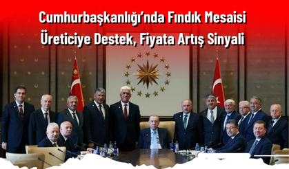 Cumhurbaşkanlığı’nda Fındık Mesaisi: Üreticiye Destek, Fiyata Artış Sinyali