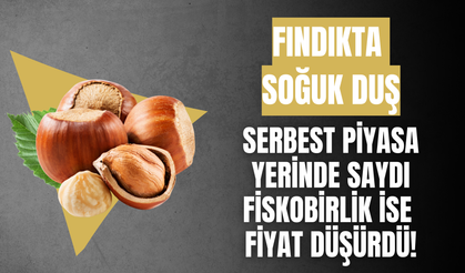 Fındıkta Soğuk Duş: Serbest Piyasa Yerinde Saydı, Fiskobirlik İse Fiyat Düşürdü!