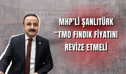MHP’li Şanlıtürk: “TMO Fındık Fiyatını Revize Etmeli”