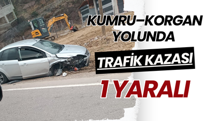 Kumru–Korgan Yolunda Trafik Kazası: 1 Yaralı