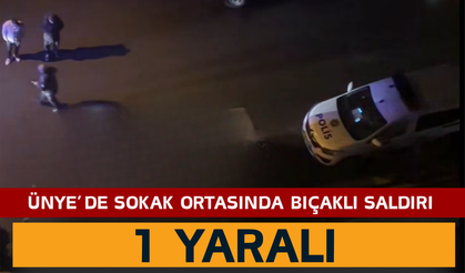 Ünye’de Sokak Ortasında Bıçaklı Saldırı: 1 Yaralı