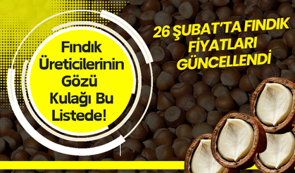 Fındık Üreticilerinin Gözü Kulağı Bu Listede! 26 Şubat’ta Fındık Fiyatları Güncellendi