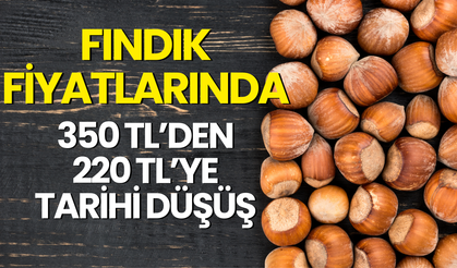 Fındık Fiyatlarında 350 TL’den 220 TL’ye Tarihi Düşüş