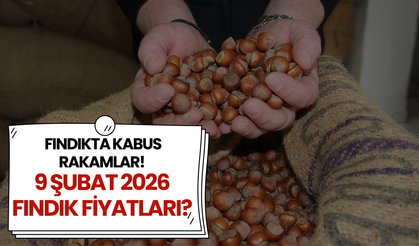 Fındıkta Kabus Rakamlar! 9 Şubat 2026 Fındık Fiyatları?