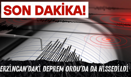 Erzincan’daki Deprem Ordu’da da Hissedildi