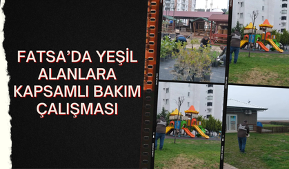 Fatsa’da Yeşil Alanlara Kapsamlı Bakım Çalışması