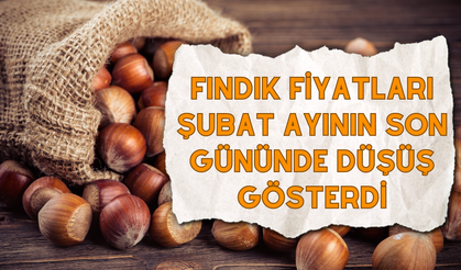 Fındık Fiyatları Şubat Ayının Son Gününde Düşüş Gösterdi