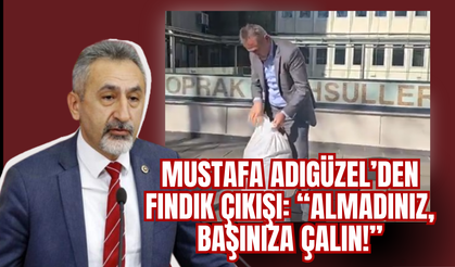 Mustafa Adıgüzel’den Fındık Çıkışı: “Almadınız, Başınıza Çalın!”