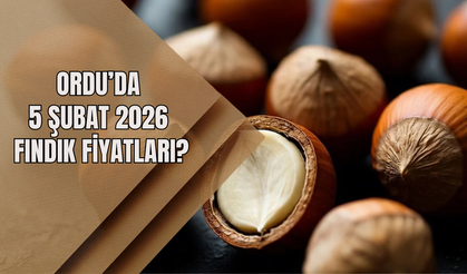 Ordu’da 5 Şubat 2026 Fındık Fiyatları?