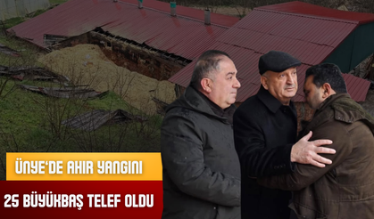 ÜNYE’DE AHIR YANGINI: 25 BÜYÜKBAŞ TELEF OLDU