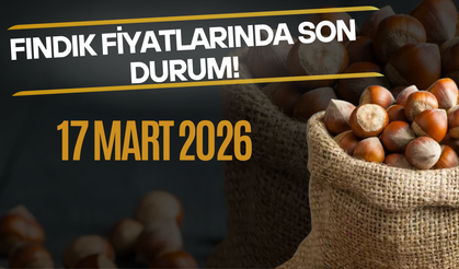 17 Mart 2026 Fındık Fiyatlarında Son Durum!
