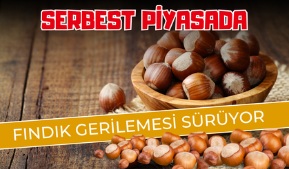 Serbest Piyasada Fındık Gerilemesi Sürüyor