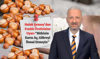 Haluk Şensoy’dan Fındık Üreticisine Uyarı: “Bitkinin Karnı Aç, Gübreyi İhmal Etmeyin”