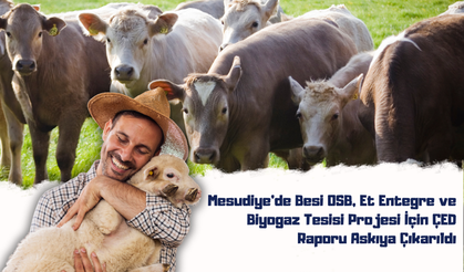 Mesudiye’de Besi OSB, Et Entegre ve Biyogaz Tesisi Projesi İçin ÇED Raporu Askıya Çıkarıldı