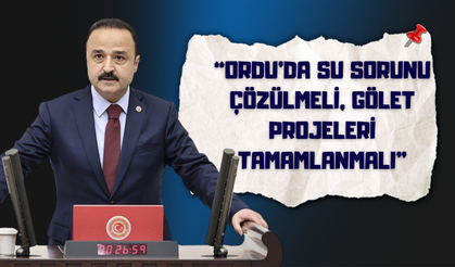 MHP’li Şanlıtürk TBMM’de Gündeme Getirdi: “Ordu’da Su Sorunu Çözülmeli, Gölet Projeleri Tamamlanmalı”