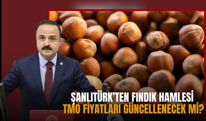Şanlıtürk’ten Fındık Hamlesi: TMO Fiyatları Güncellenecek mi?