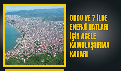 Ordu ve 7 İlde Enerji Hatları İçin Acele Kamulaştırma Kararı