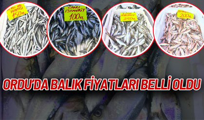 Ordu’da Balık Fiyatları Belli Oldu