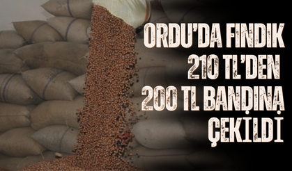 Ordu’da Fındık 210 TL’den 200 TL Bandına Çekildi