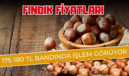 Fındık Fiyatları 175-180 TL Bandında İşlem Görüyor