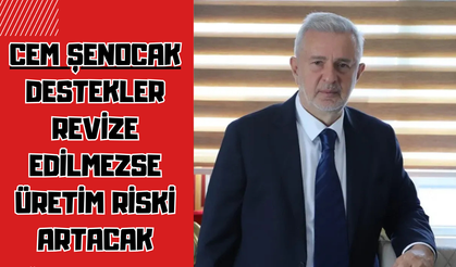 Cem Şenocak: Destekler Revize Edilmezse Üretim Riski Artacak