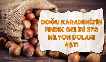 Doğu Karadeniz’in Fındık Geliri 378 Milyon Doları Aştı