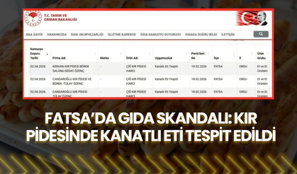 Fatsa’da Gıda Skandalı: Kır Pidesinde Kanatlı Eti Tespit Edildi