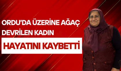 Ordu’da Üzerine Ağaç Devrilen Kadın Hayatını Kaybetti