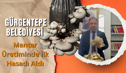 Gürgentepe Belediyesi Mantar Üretiminde İlk Hasadı Aldı