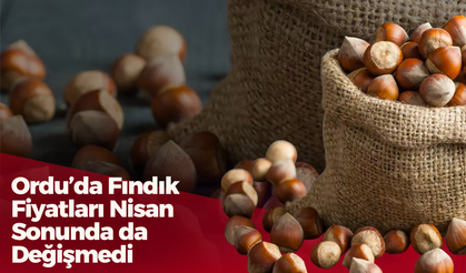 Ordu’da Fındık Fiyatları Nisan Sonunda da Değişmedi