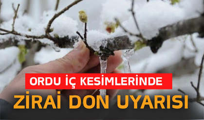 Ordu İç Kesimlerinde Zirai Don Uyarısı