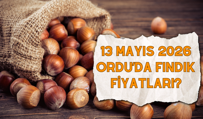 13 Mayıs 2026 Ordu’da Fındık Fiyatları?