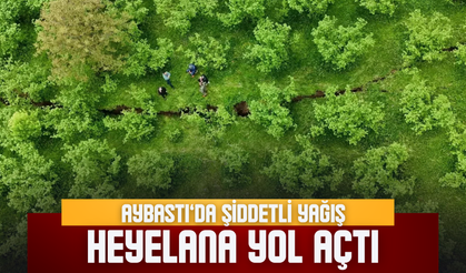 Aybastı’da Şiddetli Yağış Heyelana Yol Açtı