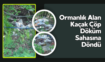 Ormanlık Alan Kaçak Çöp Döküm Sahasına Döndü